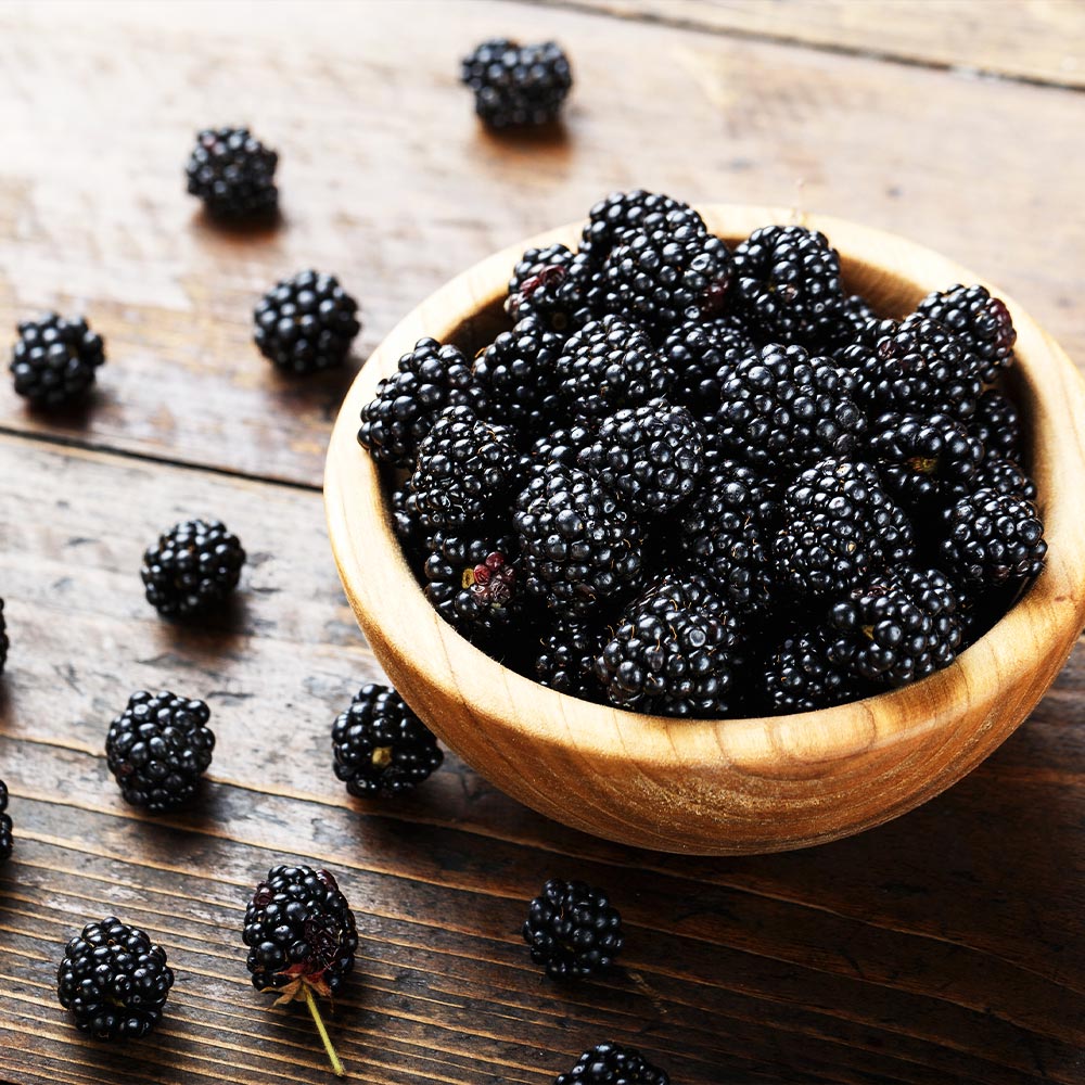 #1 - 3-in-1 Blackberry Bush