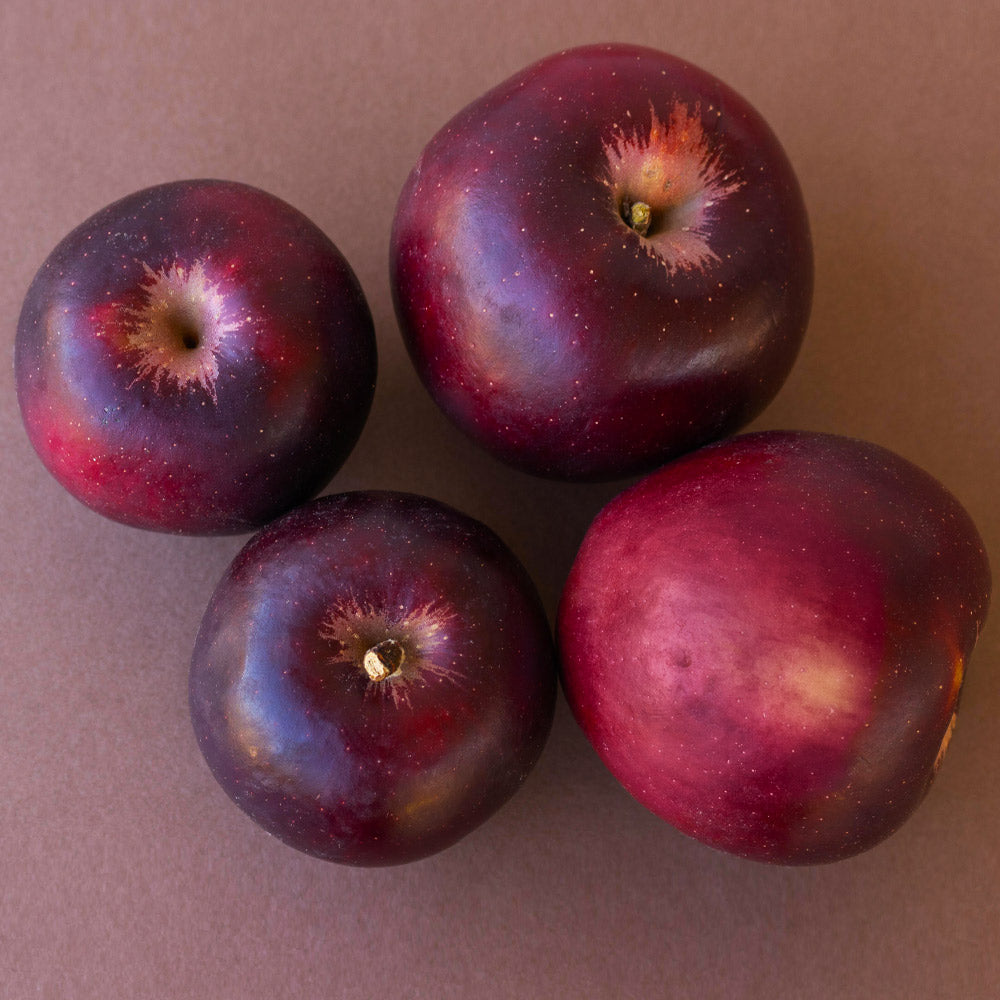 #3 - Arkansas Black Apple Tree