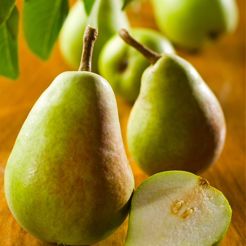 #2 - Bartlett Pear Tree