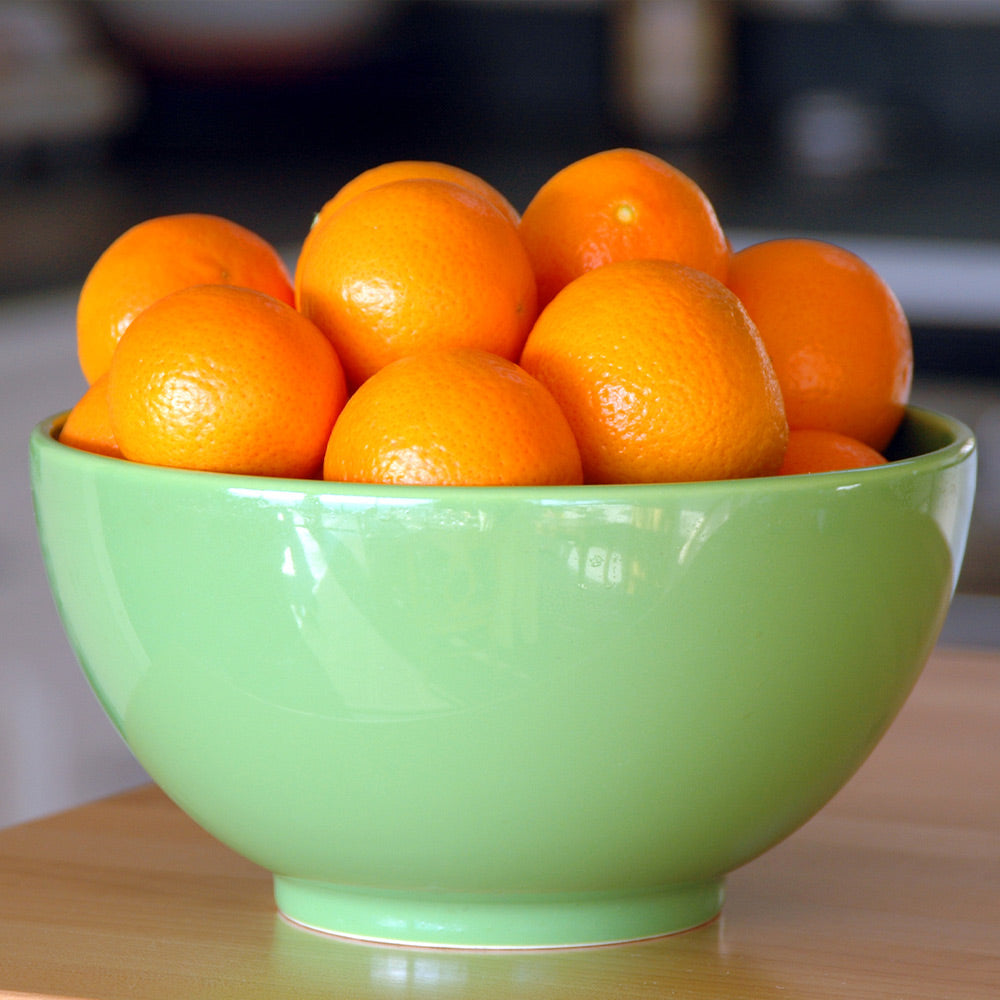 #3 - Calamondin Orange Tree