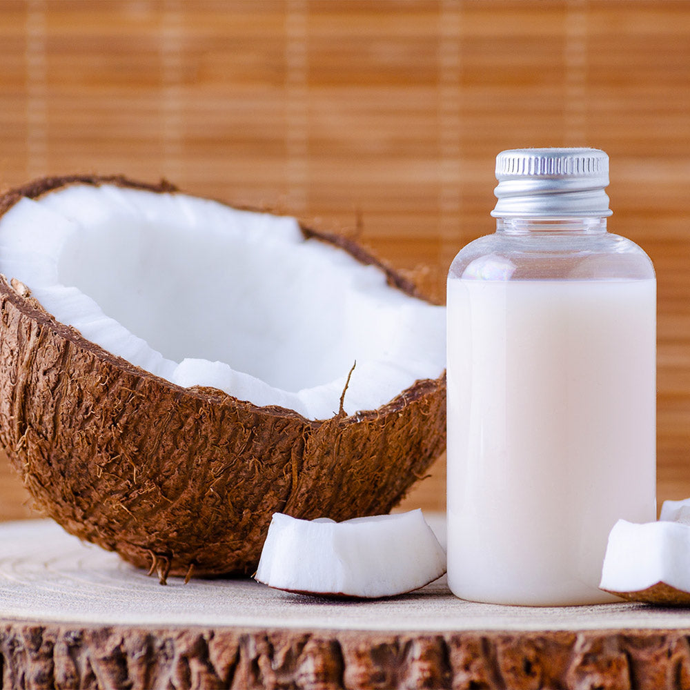 #5 - Coconut Palm Tree