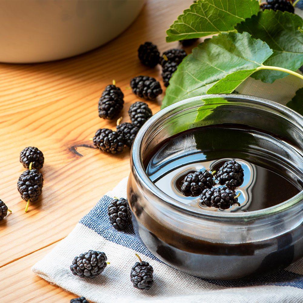 #3 - Everbearing Mulberry Tree