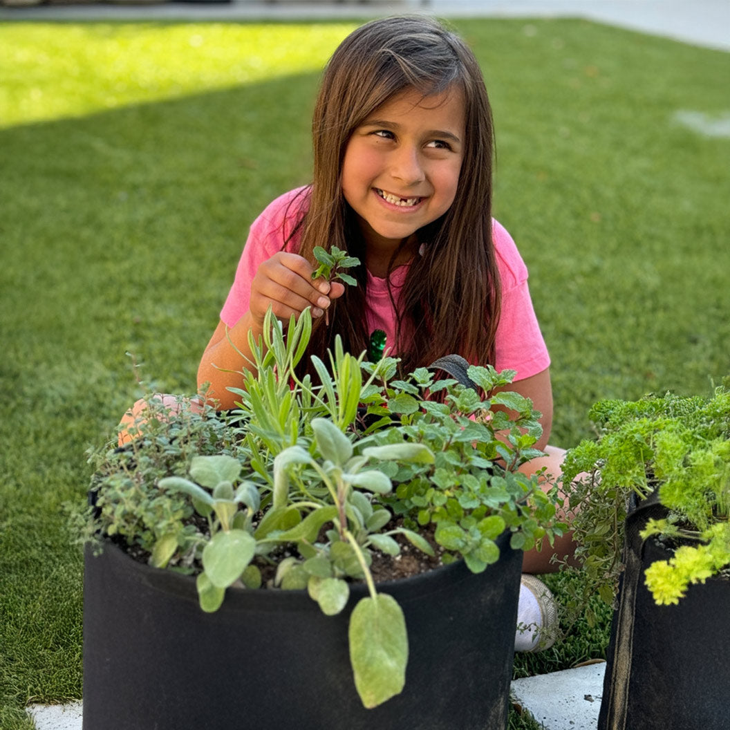 #4 - Patio Herb Garden