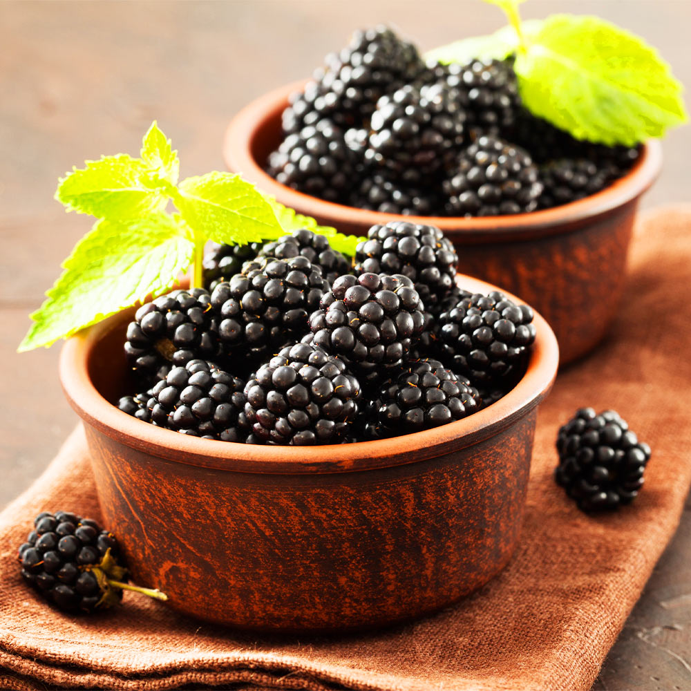 #2 - Kiowa Blackberry Bush