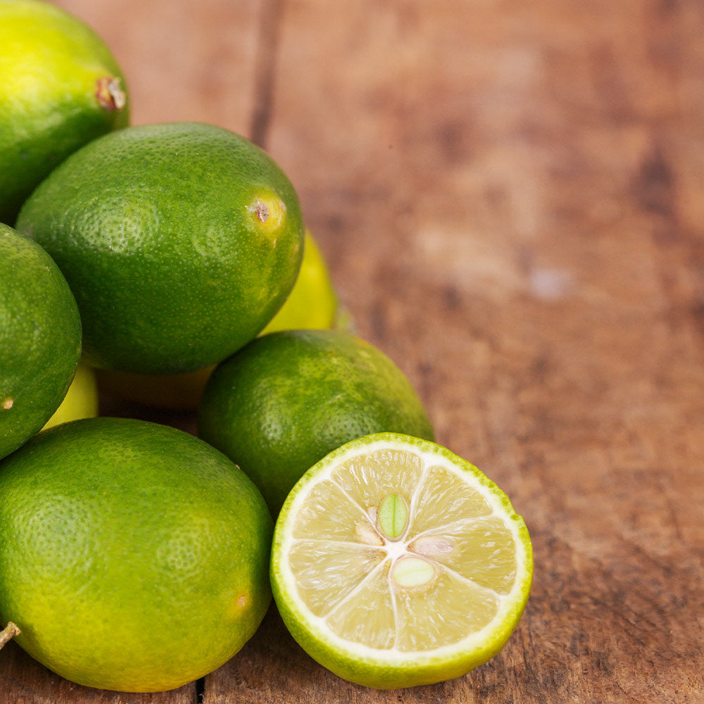 A photo of the Limequat Tree