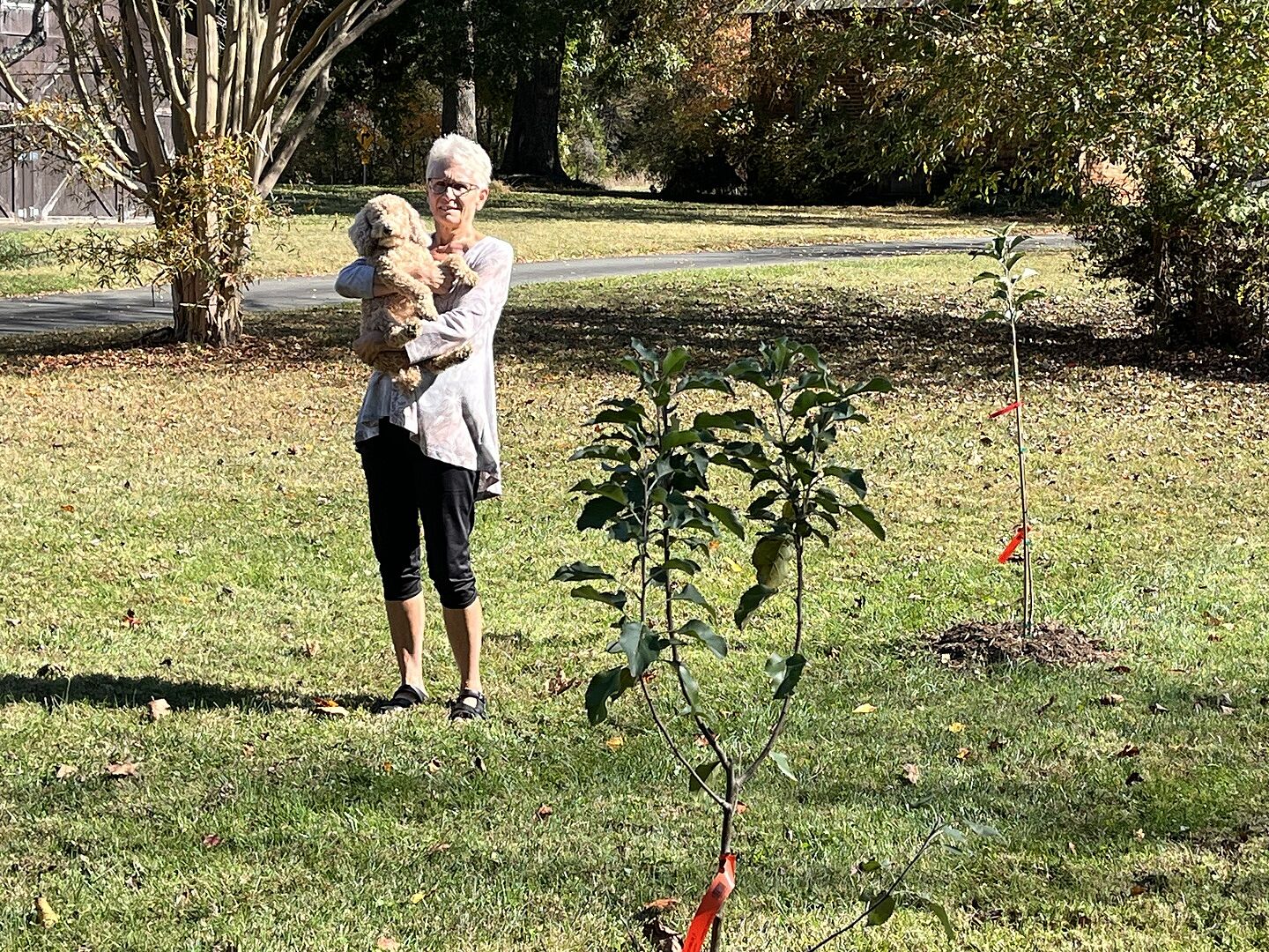 The order was delivered very