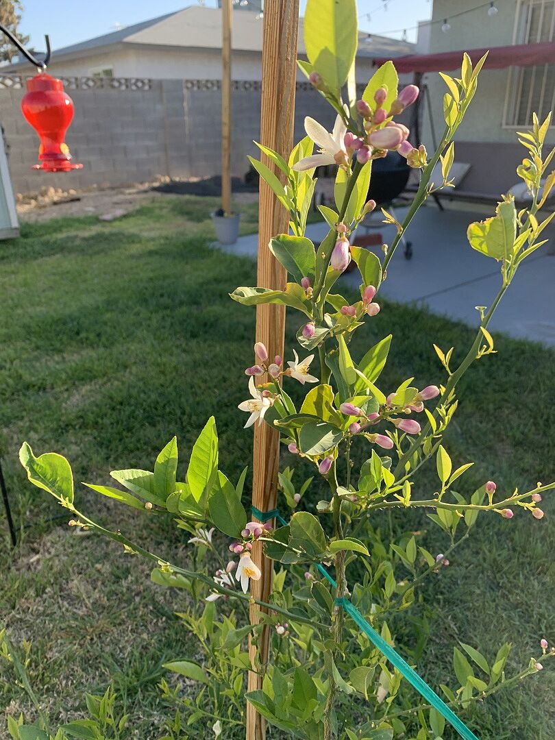 Media from review #6