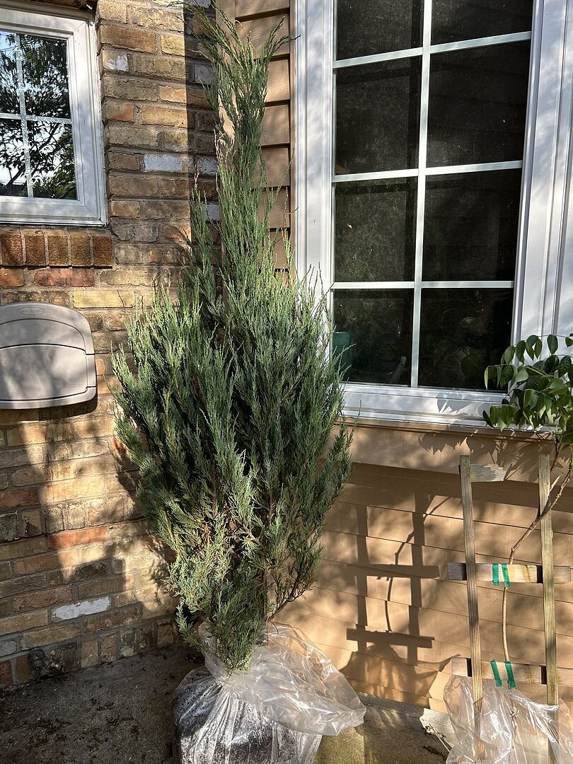 Media from review #3