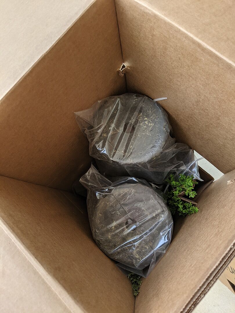 Media from review #3