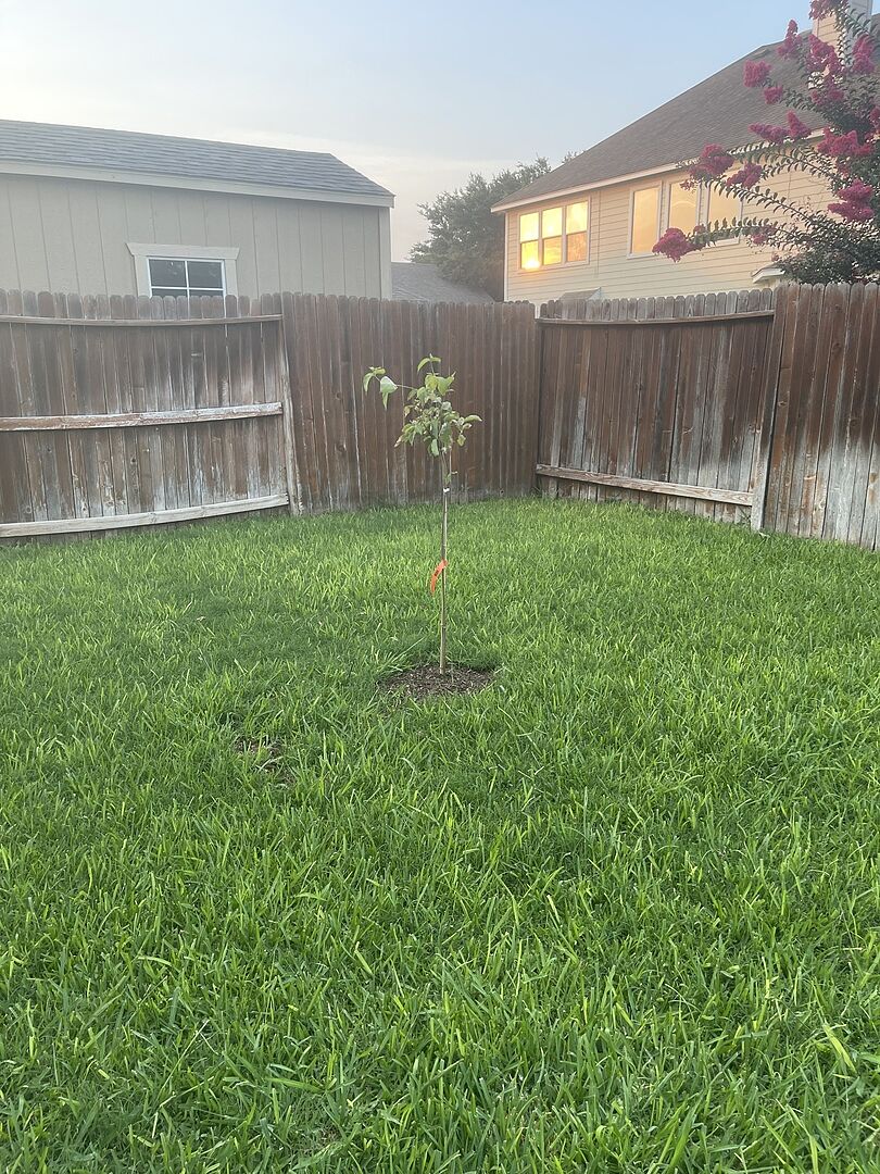 Excited to watch the growth