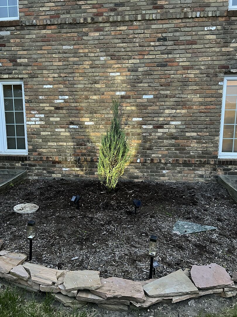 Media from review #5