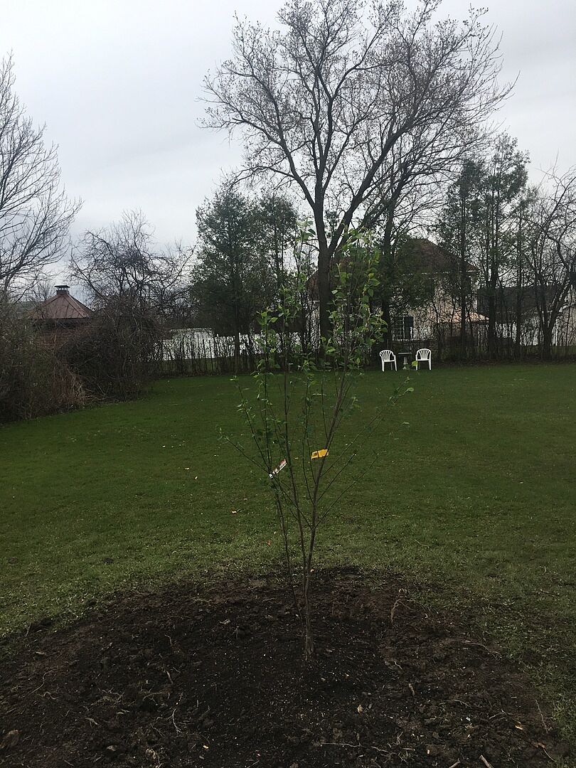 Happy and excited to see it grow