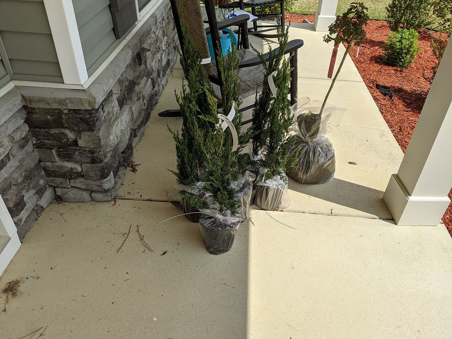 Media from review #2