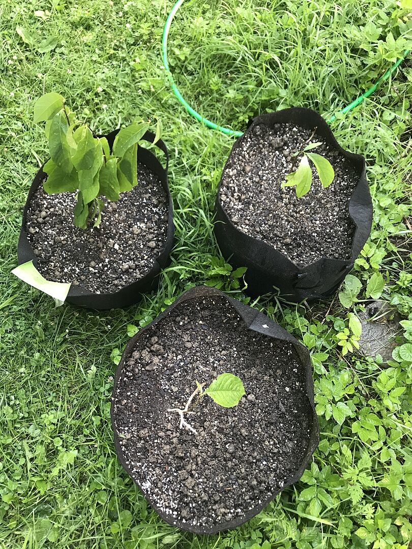 I was surprised at how