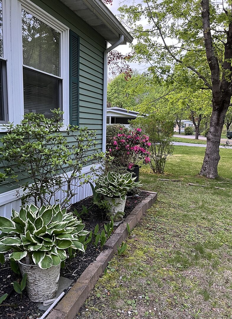 Highly recommend brighter blooms all my plants thrived