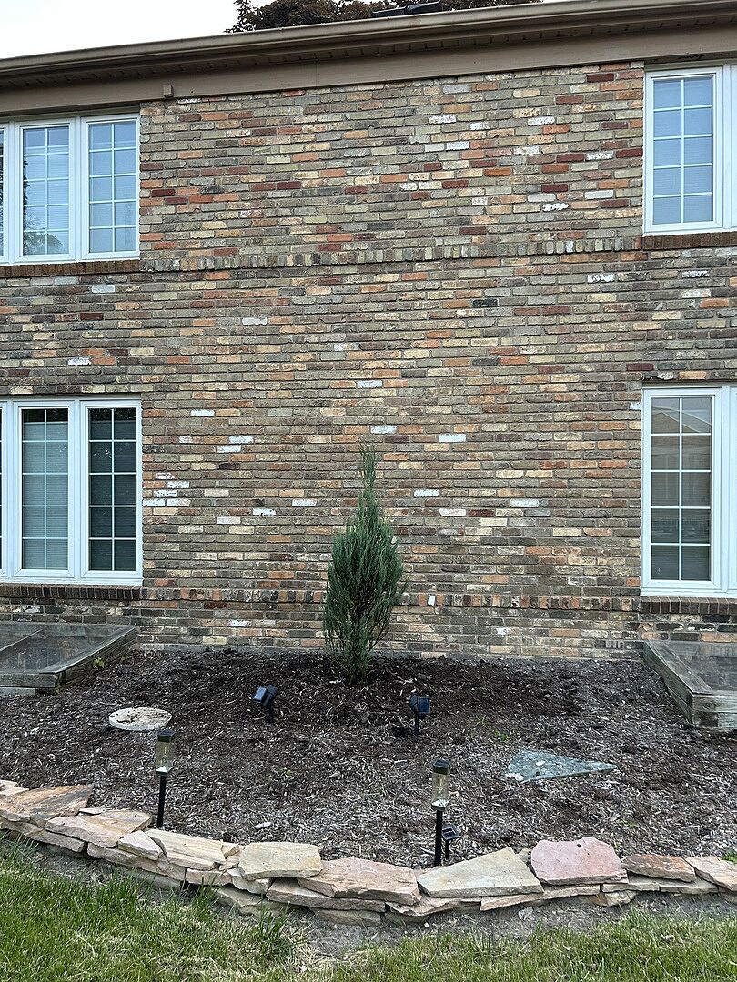 Media from review #4