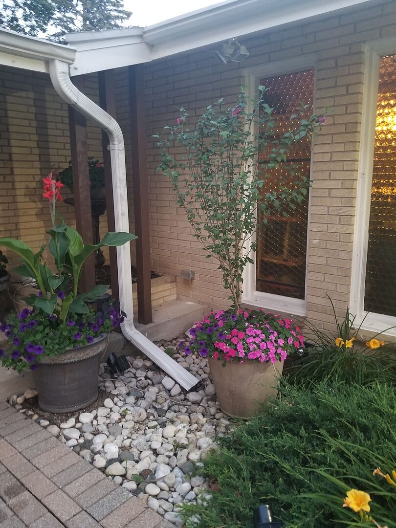 A great addition to our landscape!