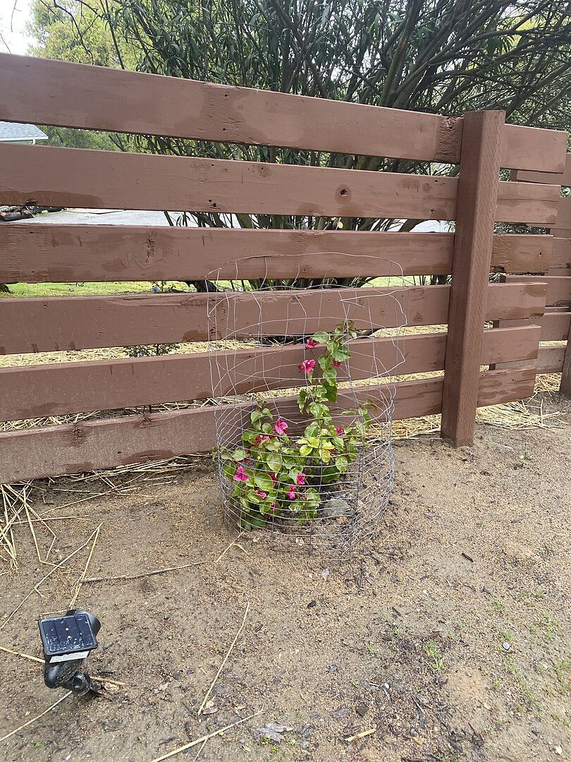 Came quick and great shape.