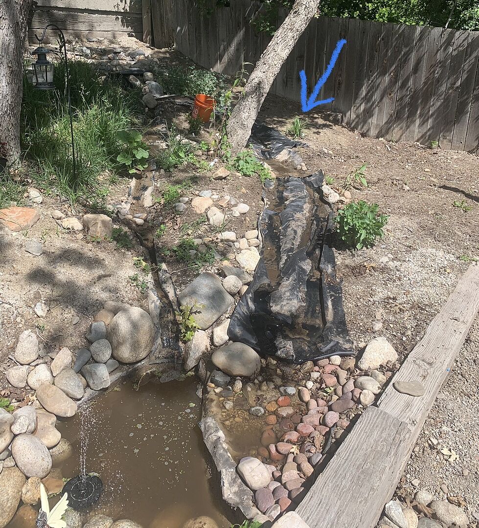 Media from review #2