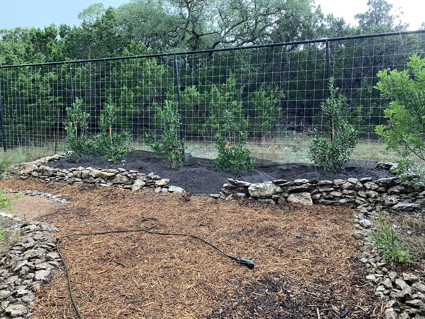 I ordered 3-4 ft and