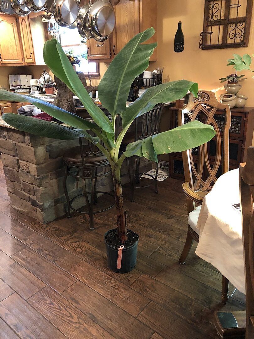 Great customer service.