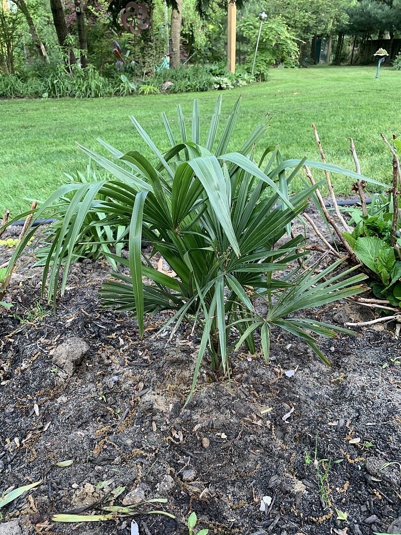 Product arrived on schedule. The