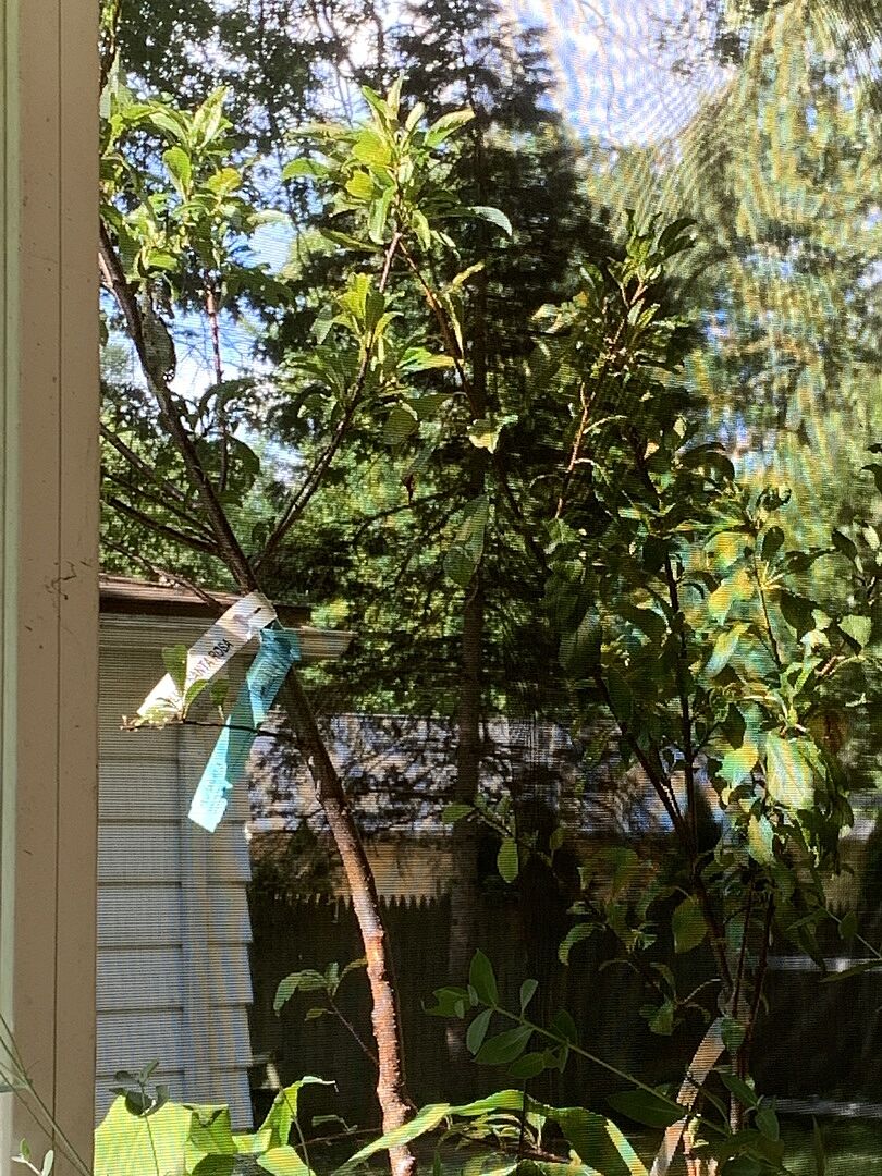 Excellent care was shown in