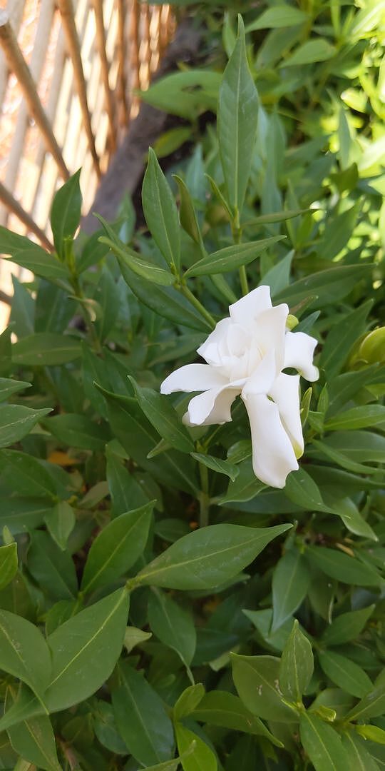 These look great and are