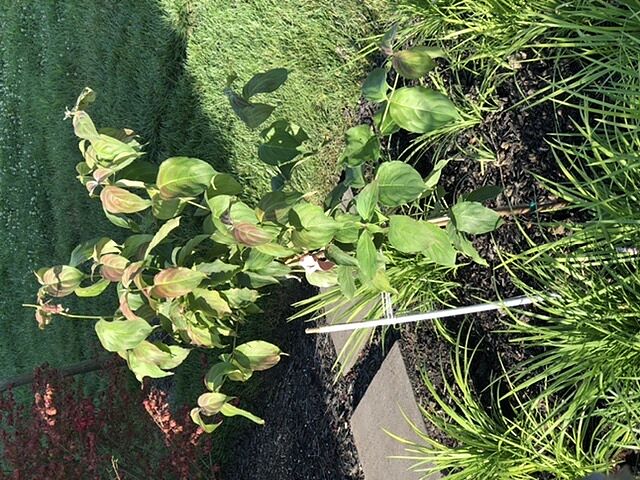 Was very impressed with the