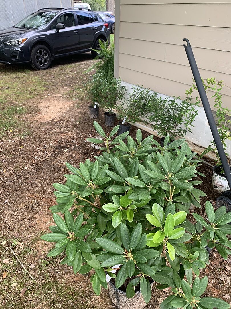 Best plants I ever got