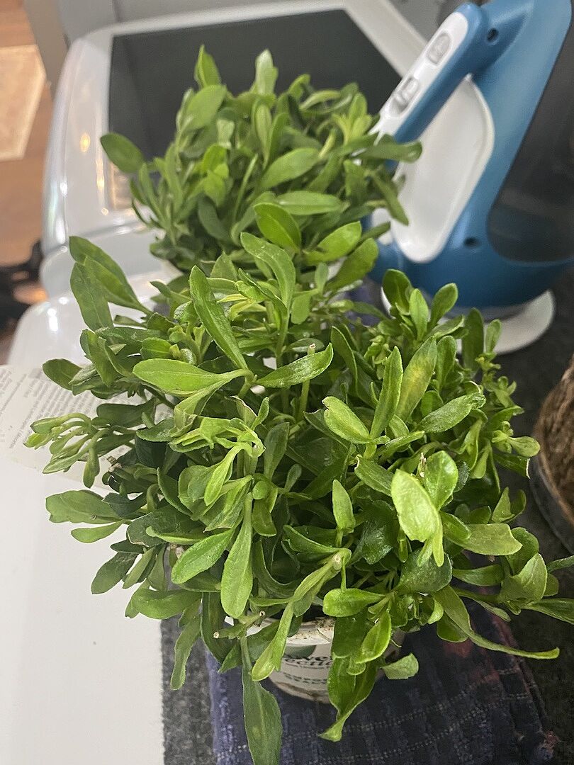 Everything always arrives perfectly and