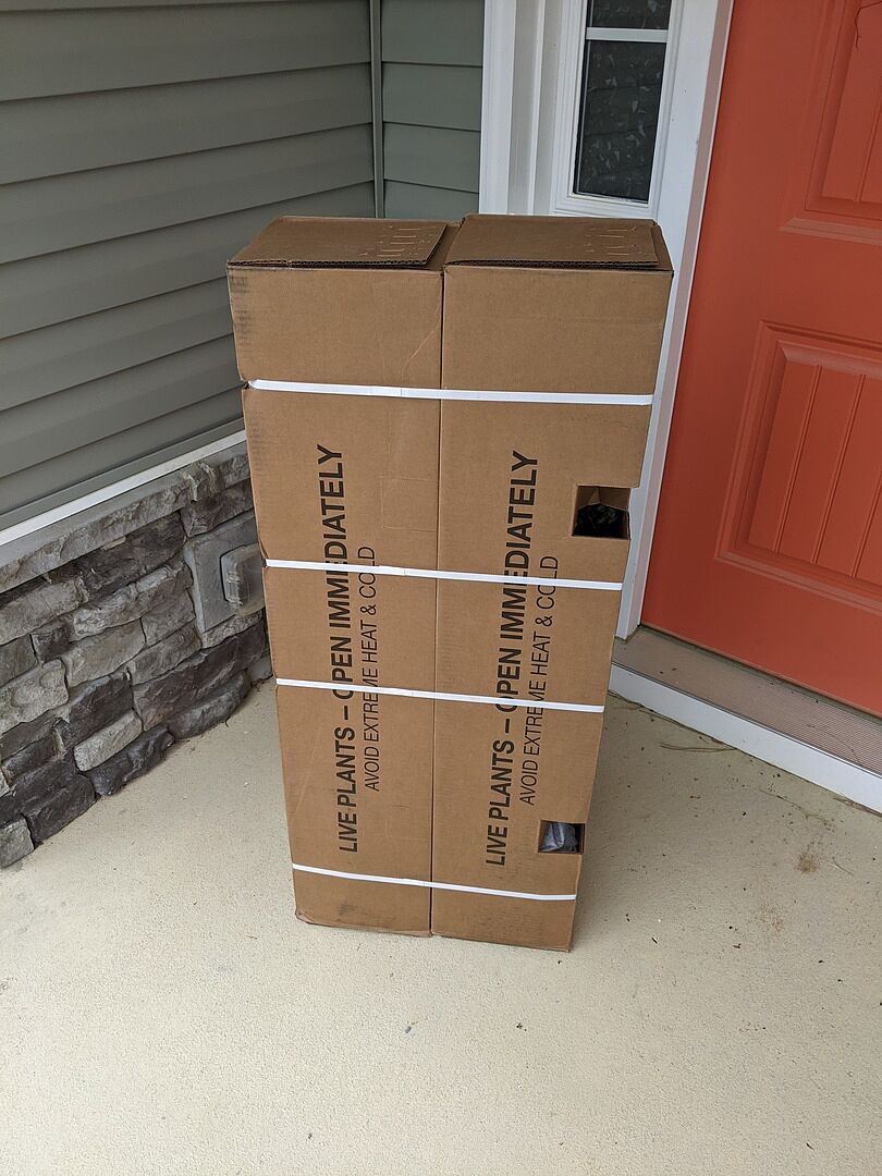 Media from review #4