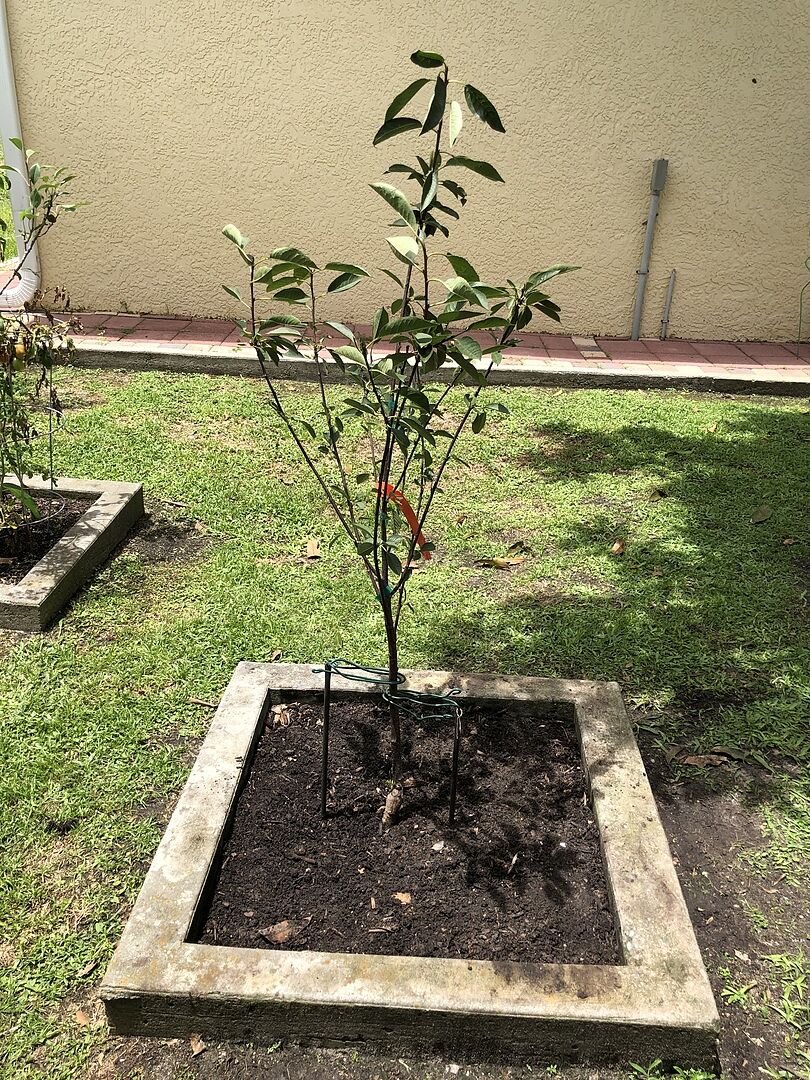 I’m very happy 😊 is