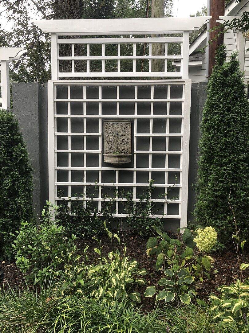 Madison Star Jasmine