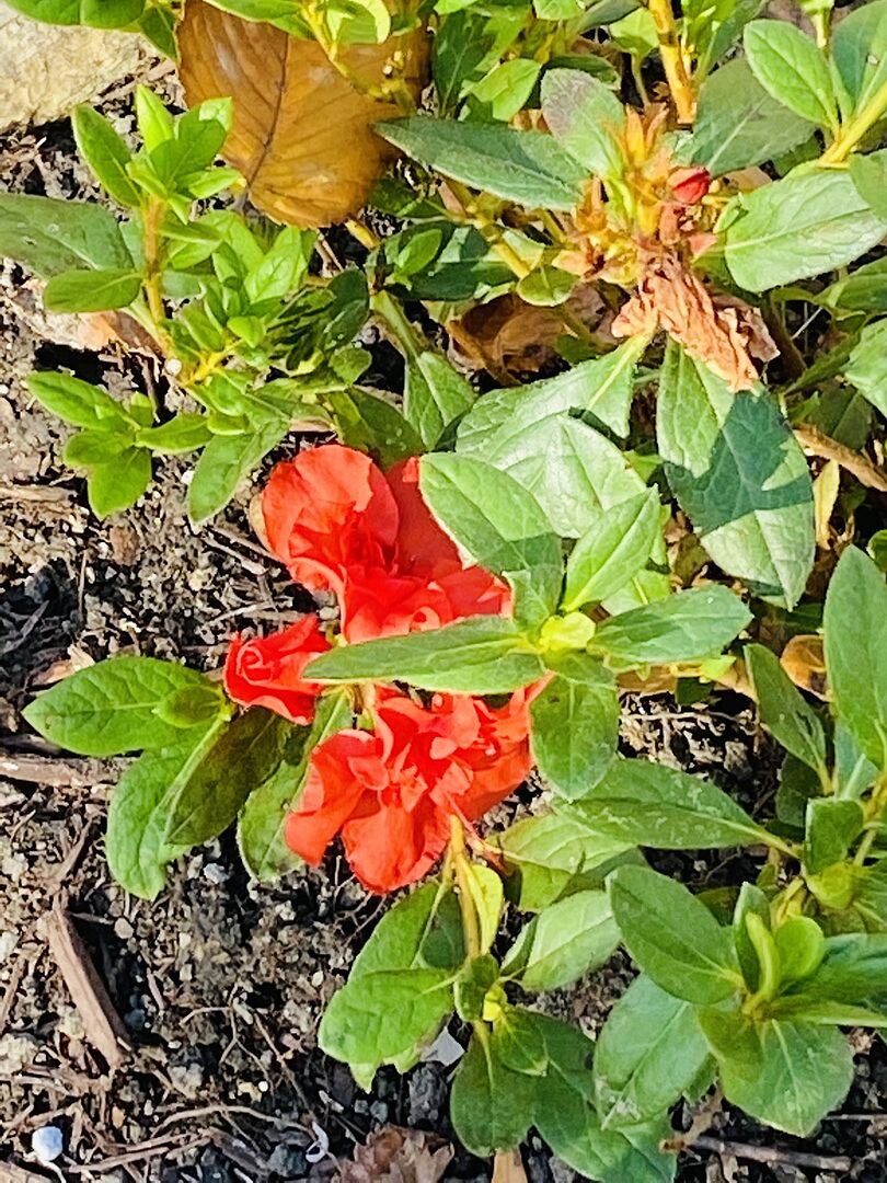 Arrived in excellent condition, well