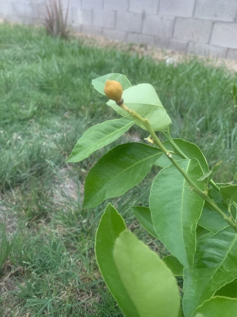 Media from review #7