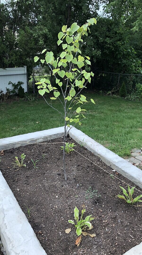 Satisfied and worth it !