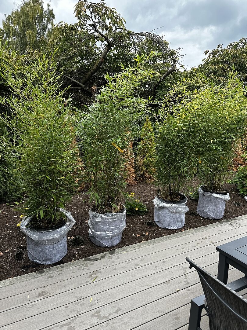 Media from review #2