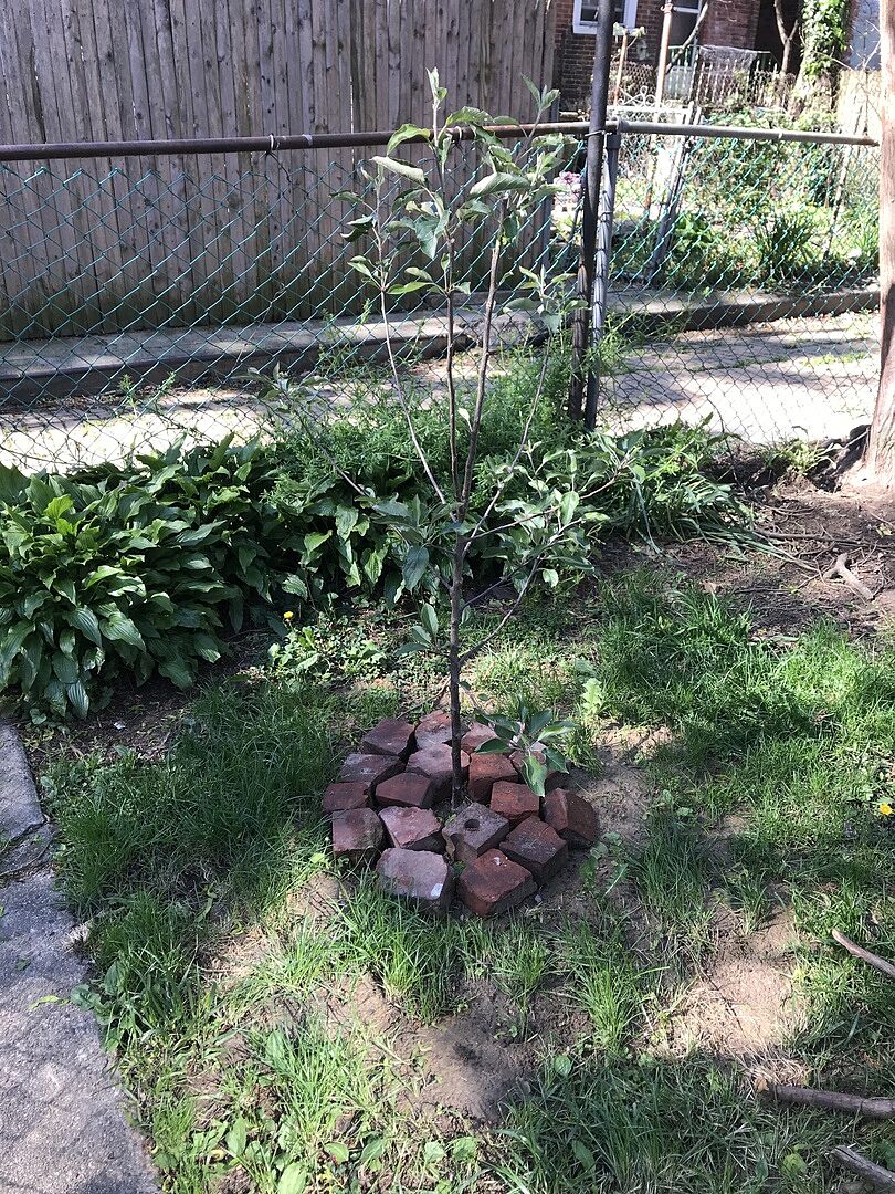 Love my new Gala! It