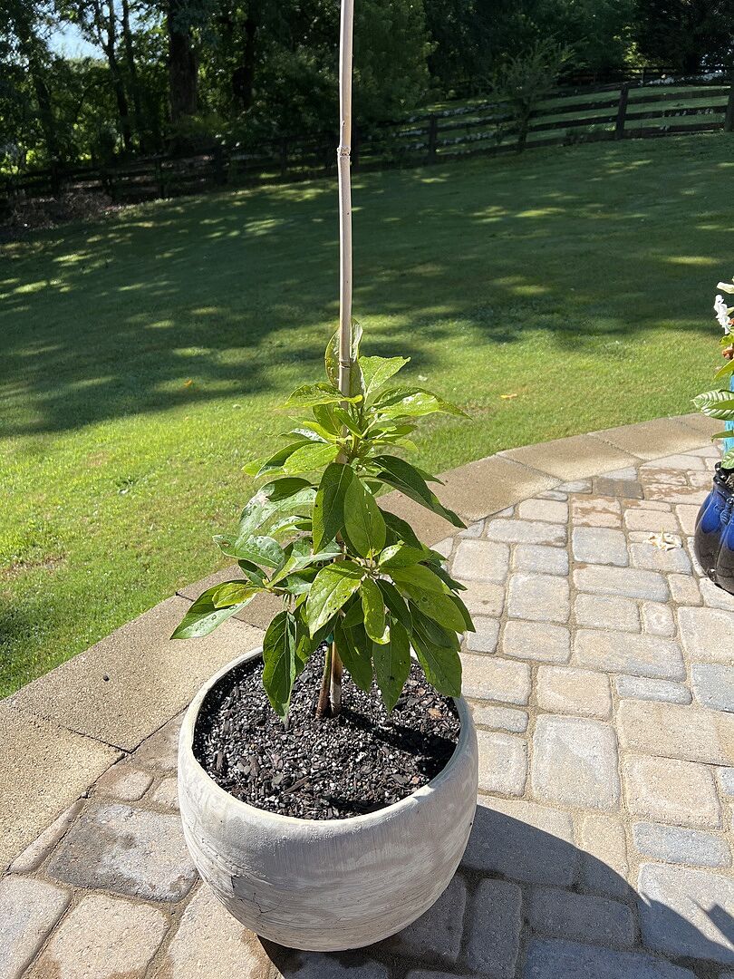 Arrived nicely packaged and was