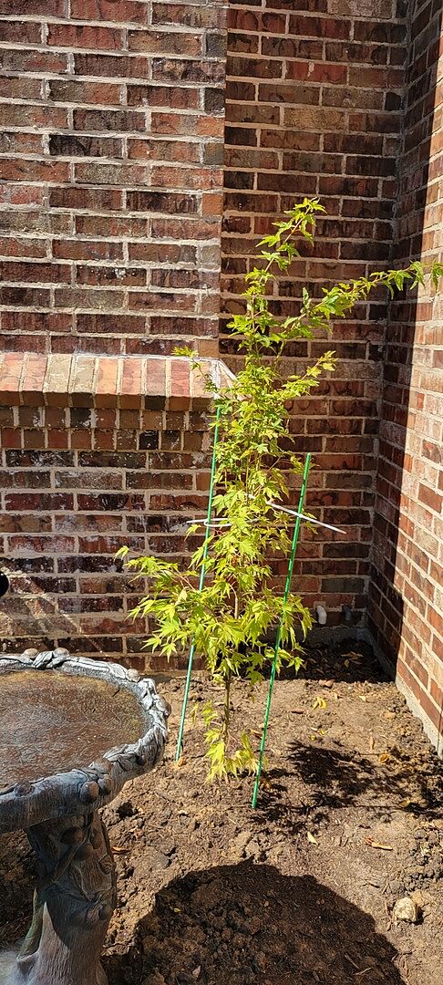 Media from review #1