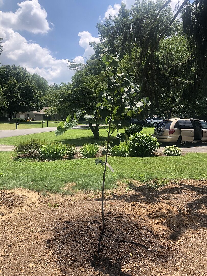 You won’t be sorry..