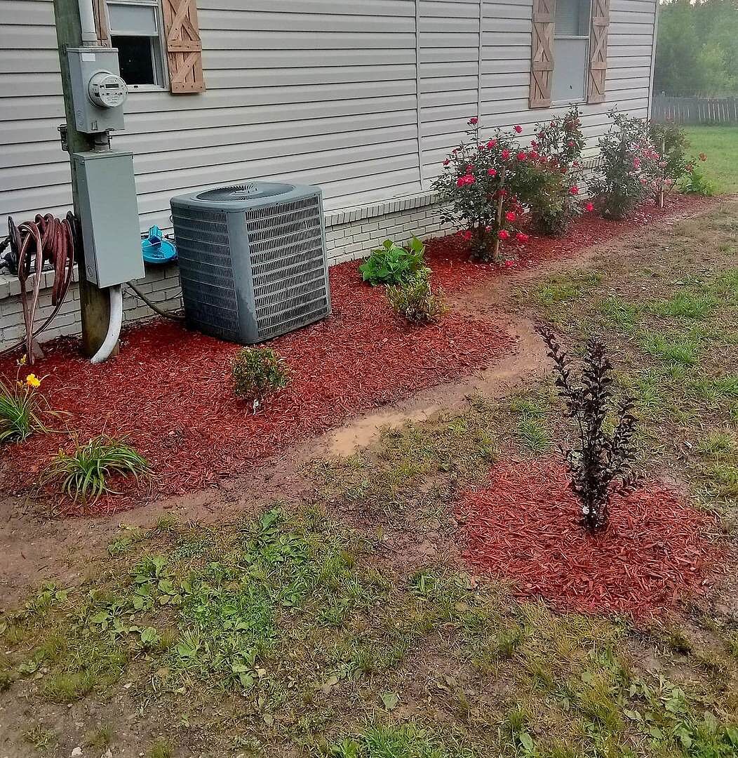 Media from review #2