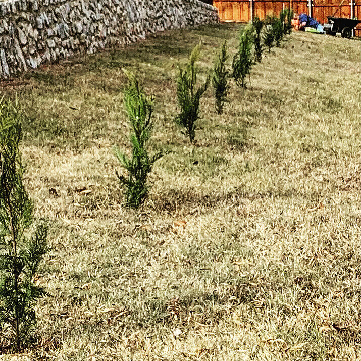 Definitely worth the price