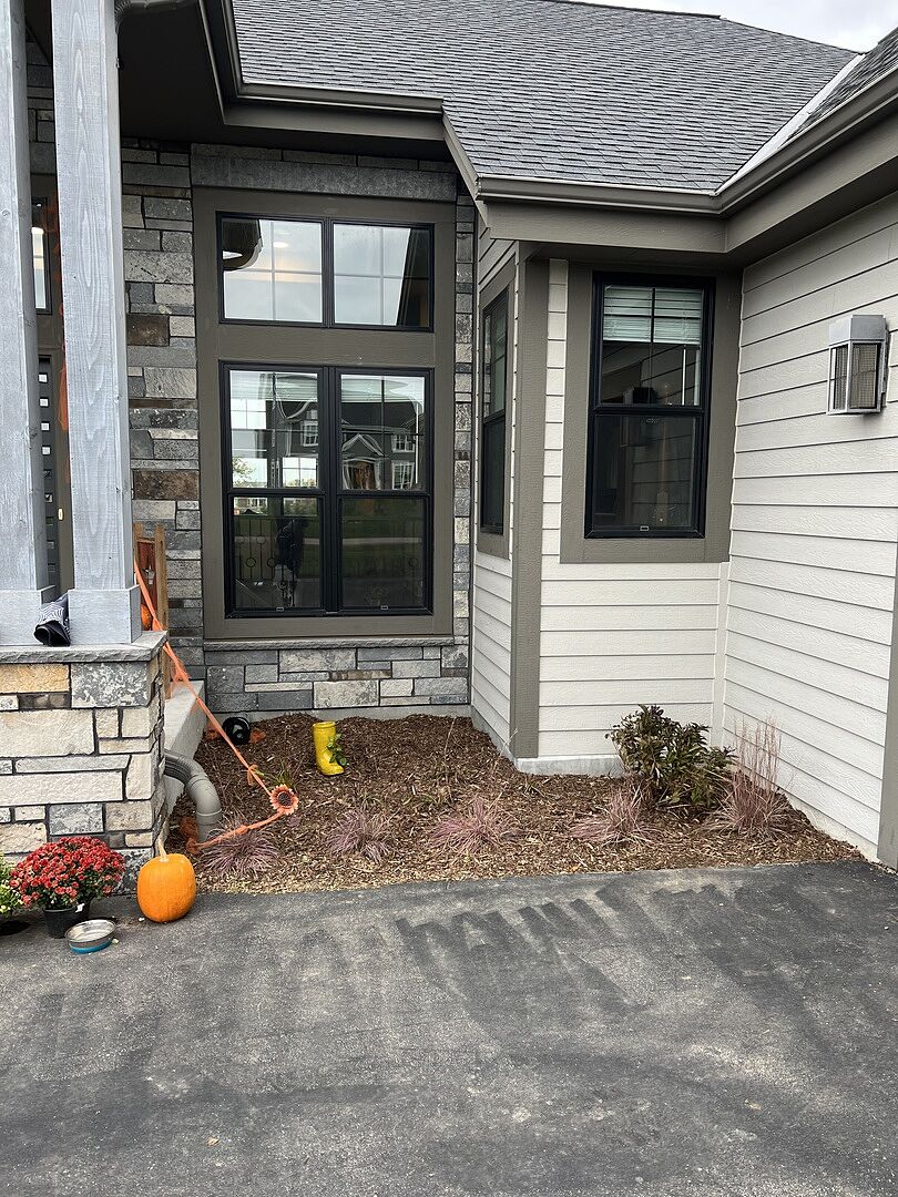 They look pretty good