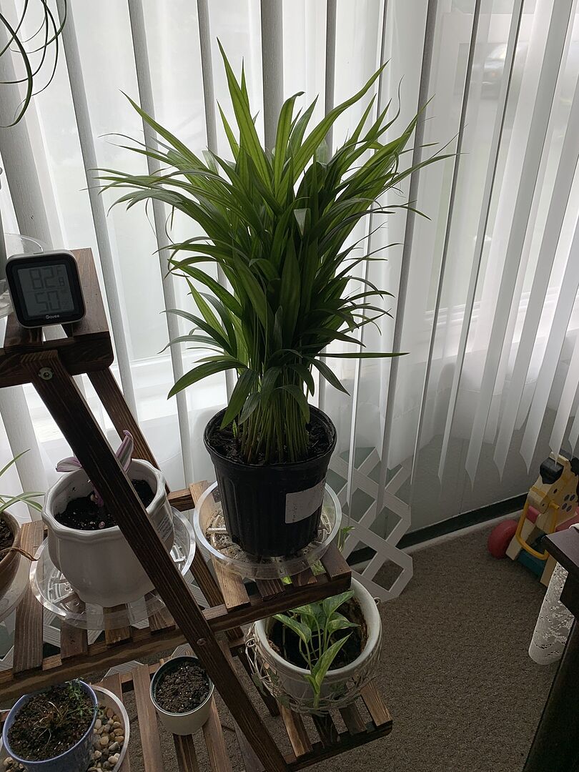 It was well packaged and