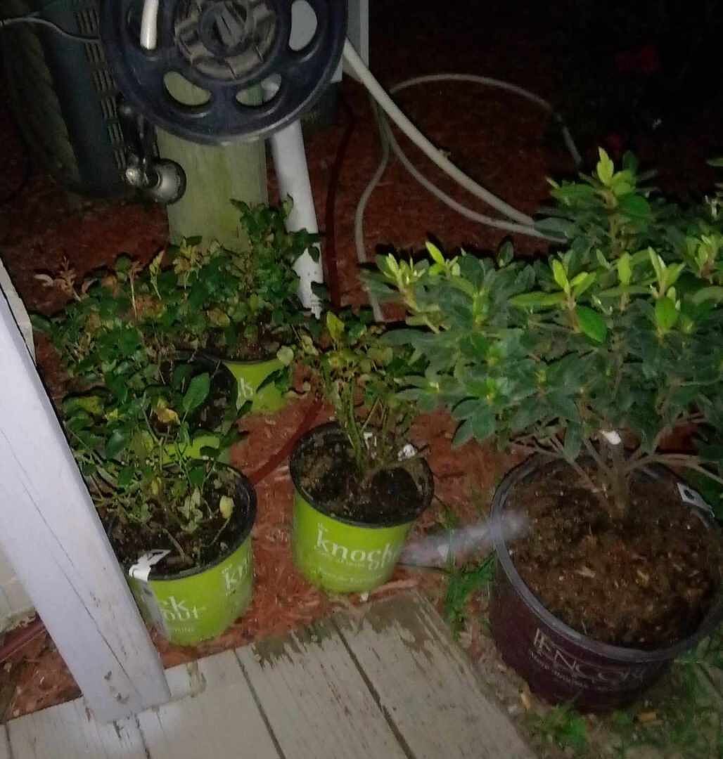 Media from review #1