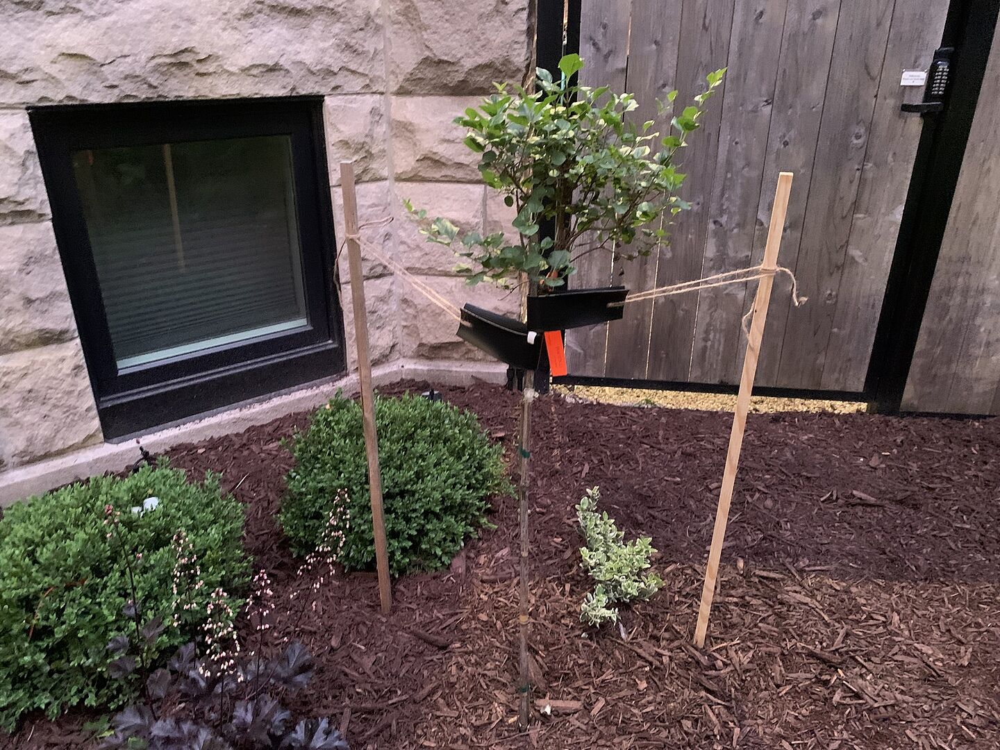 Excited to watch it grow.