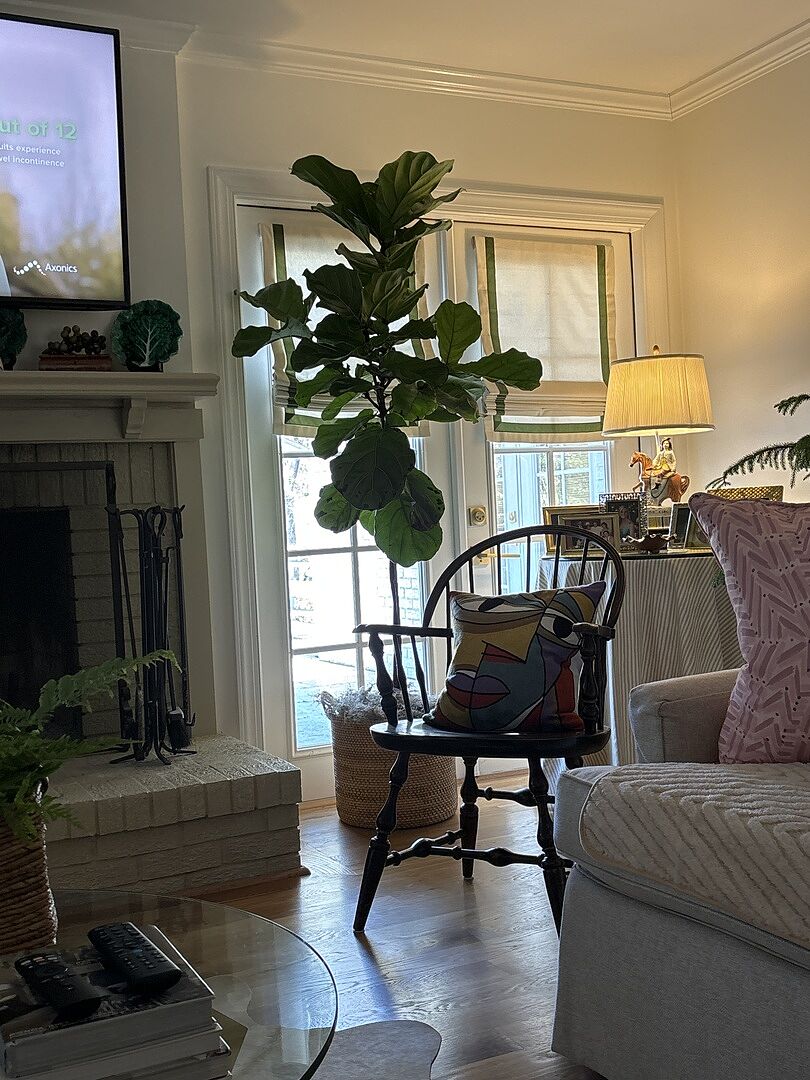 Fiddle leaf fig