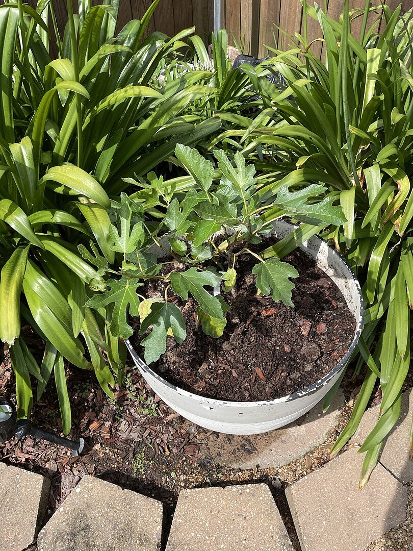 Packages 📦 extremely well. Received